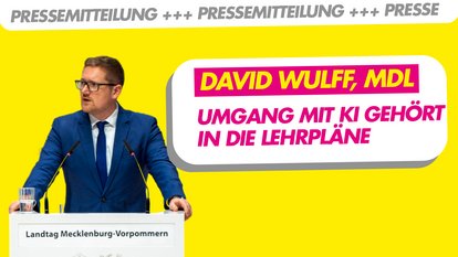 FDP David Wulff