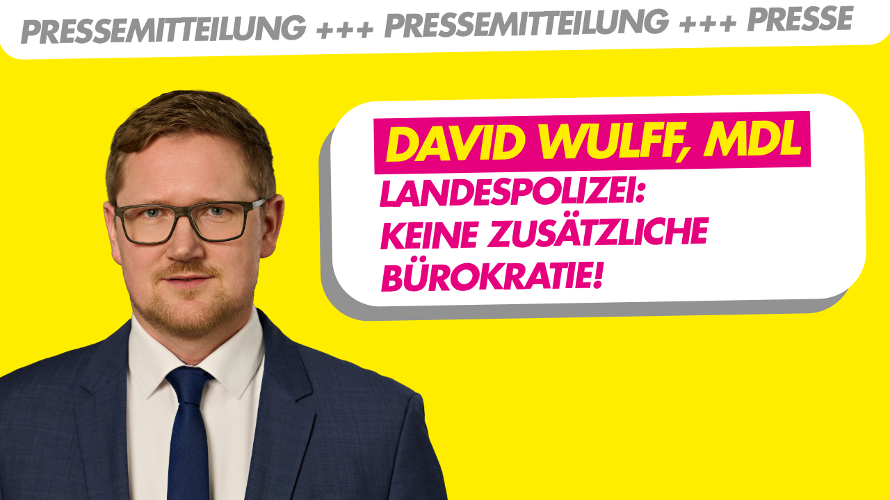 David WULFF, Gruppensprecher FDP